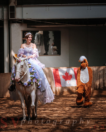 CNE’s interactive horse program CNE HorseCapades
