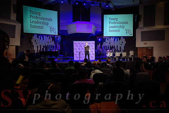 Young Professional Leadership Summit