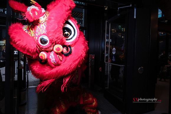 Lunar New Year Celebrations