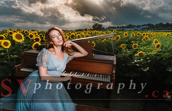 Sunflowers