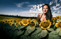 Sunflower Farm