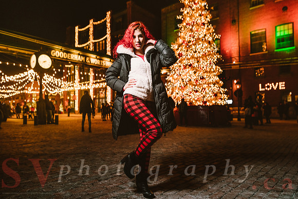 Distillery Winter Village