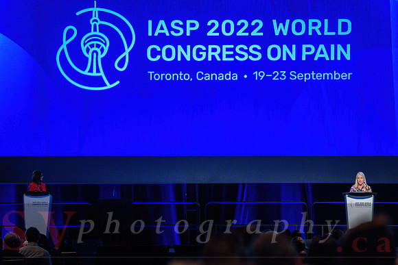19th World Congress on Pain