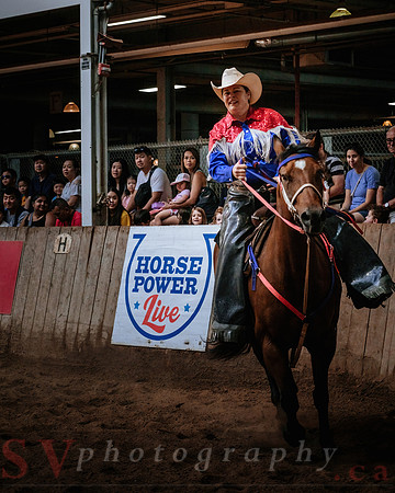 CNE’s interactive horse program CNE HorseCapades