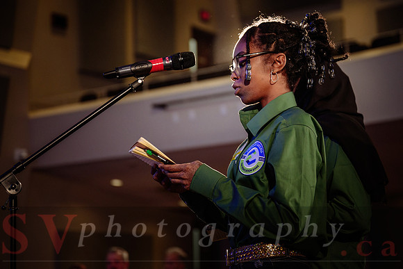 Young Professional Leadership Summit