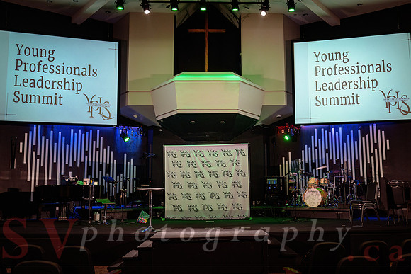 Young Professional Leadership Summit