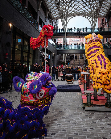 Lunar New Year Celebrations