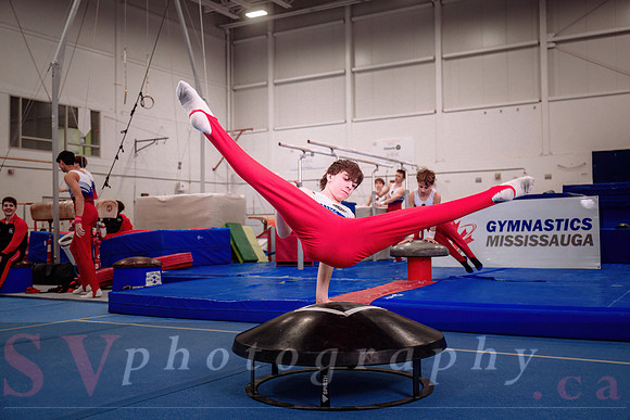 Gymnastics Mississauga