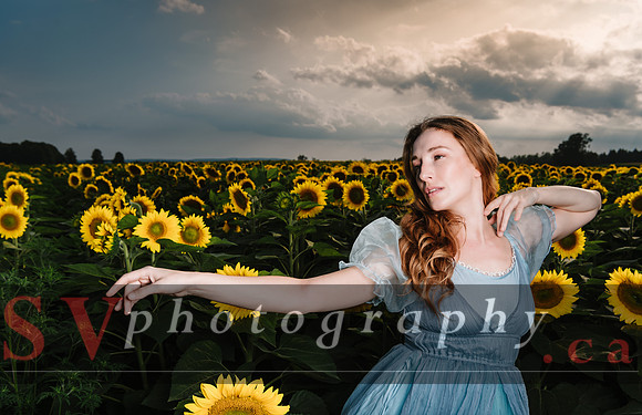 Sunflowers