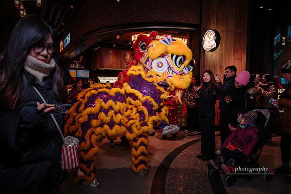Lunar New Year Celebrations