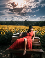 Sunflower Farm
