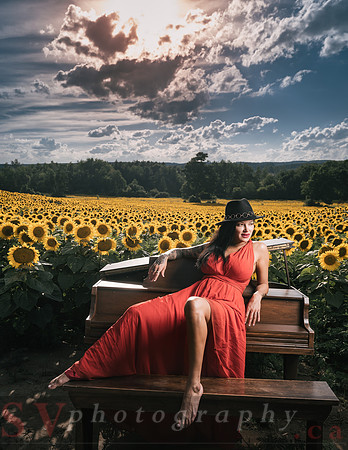 Sunflower Farm