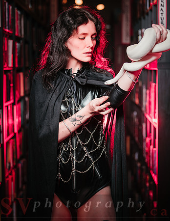 After Hours at the Bookstore