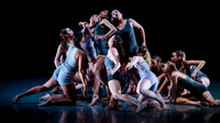 Unleashed 2017