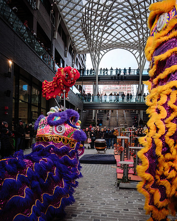 Lunar New Year Celebrations