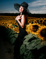Sunflower Farm