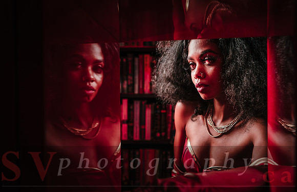 After Hours at the Bookstore
