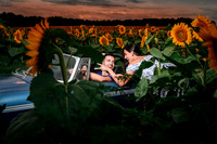 In the field of dreams
