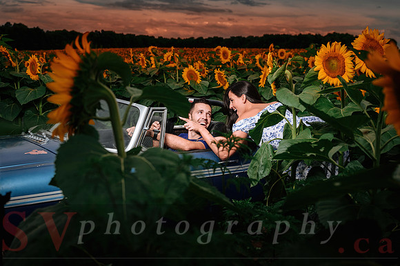 In the field of dreams