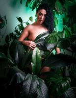 Cannabis