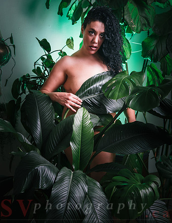 Cannabis