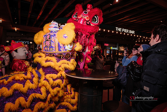 Lunar New Year Celebrations