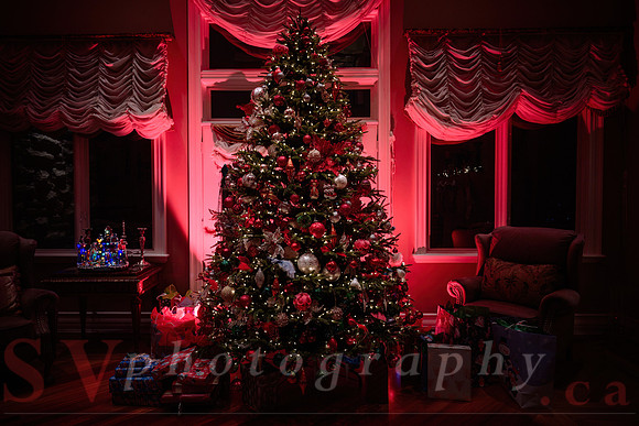 Nicolaidis Xmas Party
