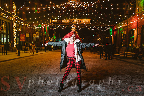 Distillery Winter Village