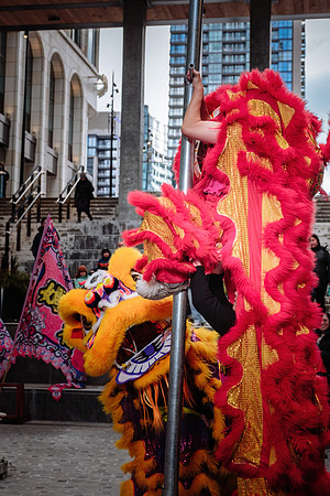 Lunar New Year Celebrations