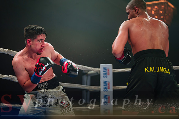Shaw Boxing 2022