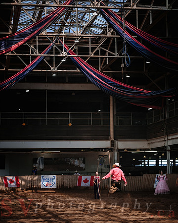 CNE’s interactive horse program CNE HorseCapades