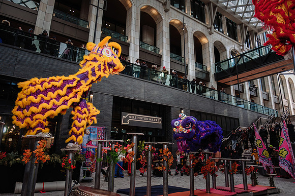 Lunar New Year Celebrations