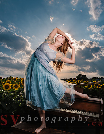 Sunflowers