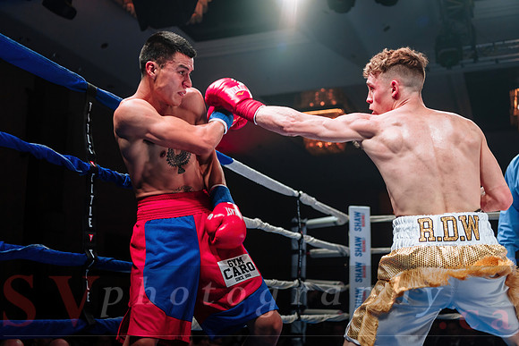 Shaw Boxing 2022