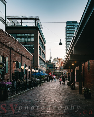 Toronto Street Photos