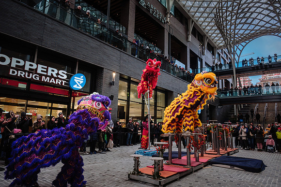 Lunar New Year Celebrations