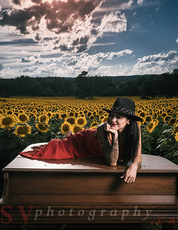 Sunflower Farm