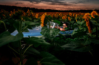 In the field of dreams