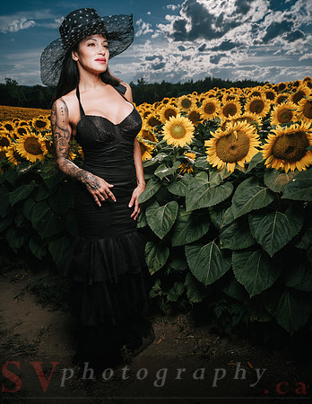 Sunflower Farm