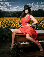 Sunflower Farm