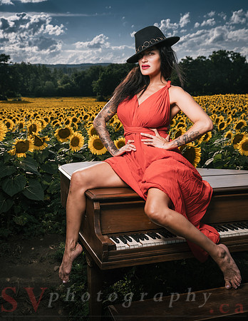 Sunflower Farm