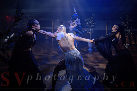 Transcen|Dance Project presents Ophis