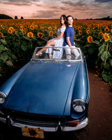 In the field of dreams