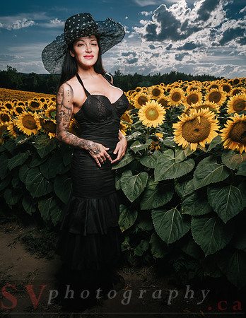 Sunflower Farm