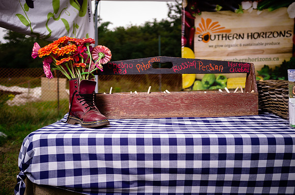 McVean Farm Picnic