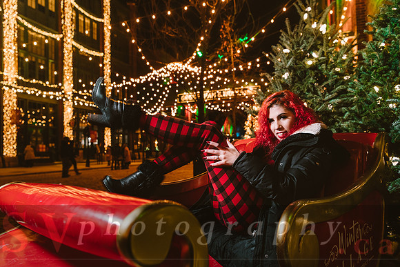 Distillery Winter Village