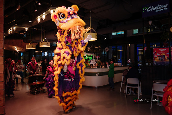 Lunar New Year Celebrations