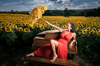 Sunflower Farm