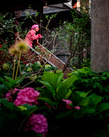 Porch View Dances 2024