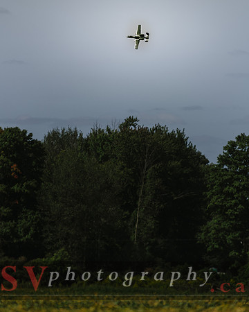 Airshow London 2020